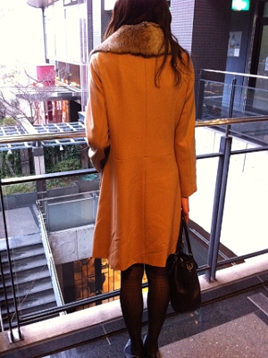 �Q�O��̃t�F������